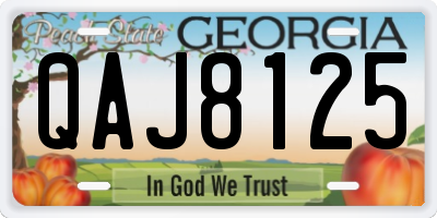 GA license plate QAJ8125