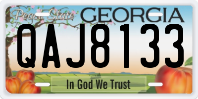 GA license plate QAJ8133