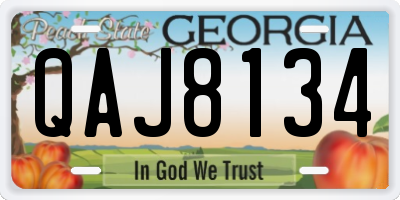 GA license plate QAJ8134