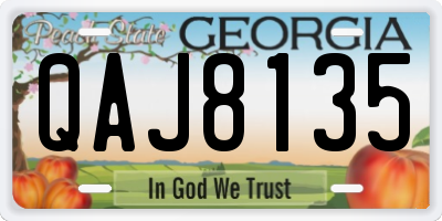 GA license plate QAJ8135