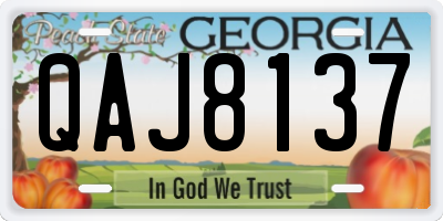 GA license plate QAJ8137