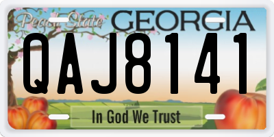 GA license plate QAJ8141