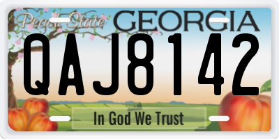 GA license plate QAJ8142