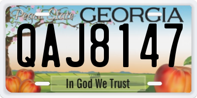 GA license plate QAJ8147