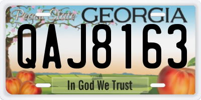 GA license plate QAJ8163