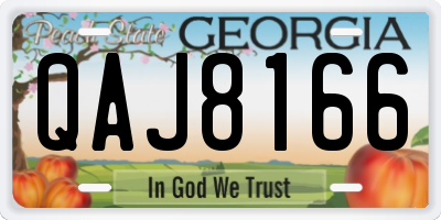 GA license plate QAJ8166