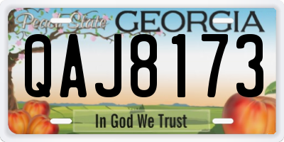 GA license plate QAJ8173