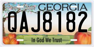 GA license plate QAJ8182