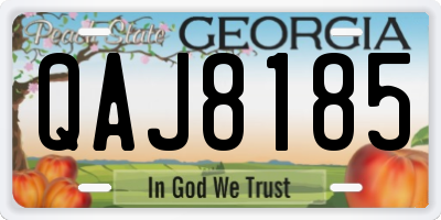 GA license plate QAJ8185