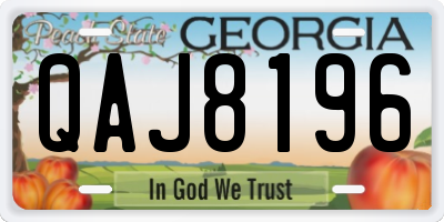 GA license plate QAJ8196