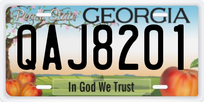 GA license plate QAJ8201