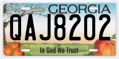 GA license plate QAJ8202