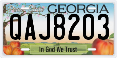 GA license plate QAJ8203
