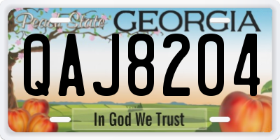 GA license plate QAJ8204