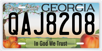 GA license plate QAJ8208