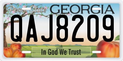 GA license plate QAJ8209