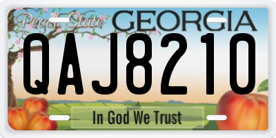 GA license plate QAJ8210