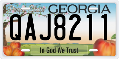 GA license plate QAJ8211