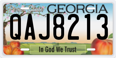 GA license plate QAJ8213