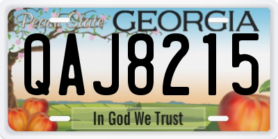 GA license plate QAJ8215