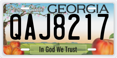 GA license plate QAJ8217