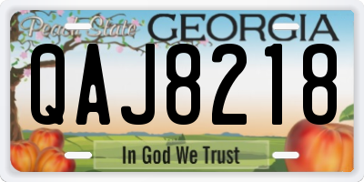 GA license plate QAJ8218