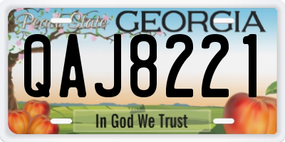 GA license plate QAJ8221
