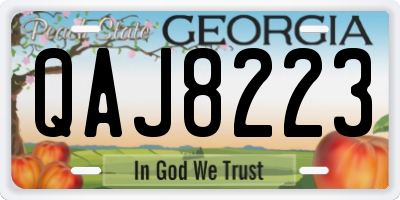 GA license plate QAJ8223