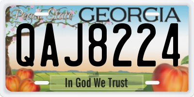 GA license plate QAJ8224