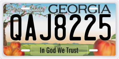 GA license plate QAJ8225