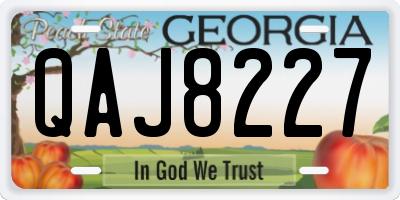 GA license plate QAJ8227