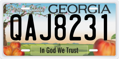 GA license plate QAJ8231