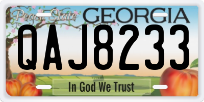 GA license plate QAJ8233
