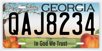 GA license plate QAJ8234