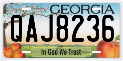 GA license plate QAJ8236