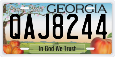 GA license plate QAJ8244