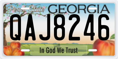 GA license plate QAJ8246
