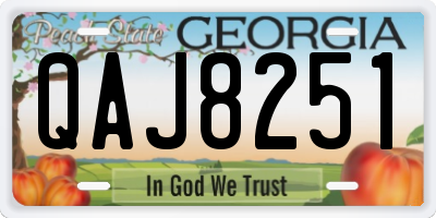 GA license plate QAJ8251