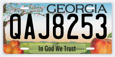 GA license plate QAJ8253