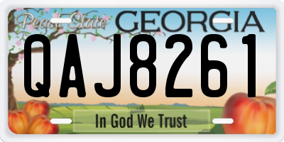 GA license plate QAJ8261