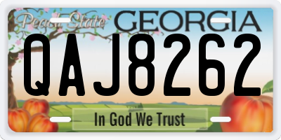 GA license plate QAJ8262