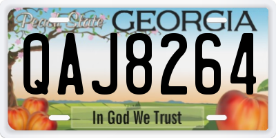 GA license plate QAJ8264