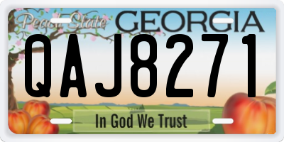 GA license plate QAJ8271