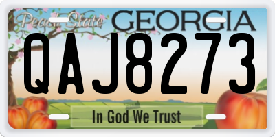GA license plate QAJ8273
