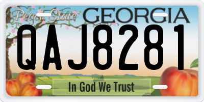 GA license plate QAJ8281