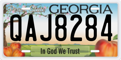 GA license plate QAJ8284