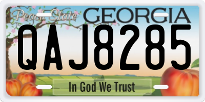 GA license plate QAJ8285