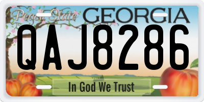 GA license plate QAJ8286