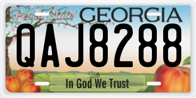 GA license plate QAJ8288