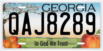 GA license plate QAJ8289